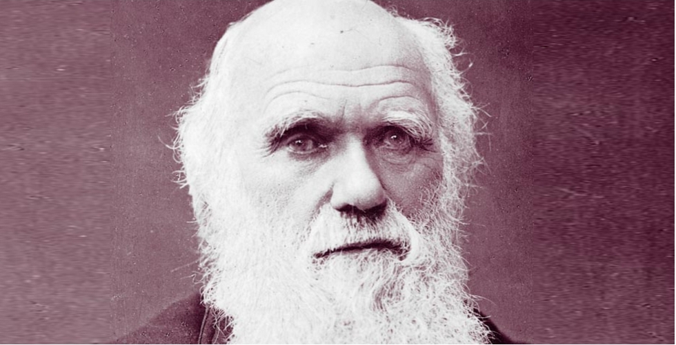 تشارلز روبرت داروين 