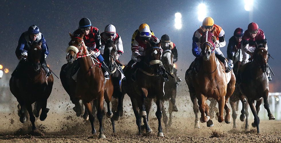 مهرجان سباق الخيل العربي 