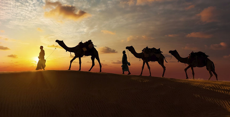 الامارات:إطلاقُ حملة حماية الصحراء