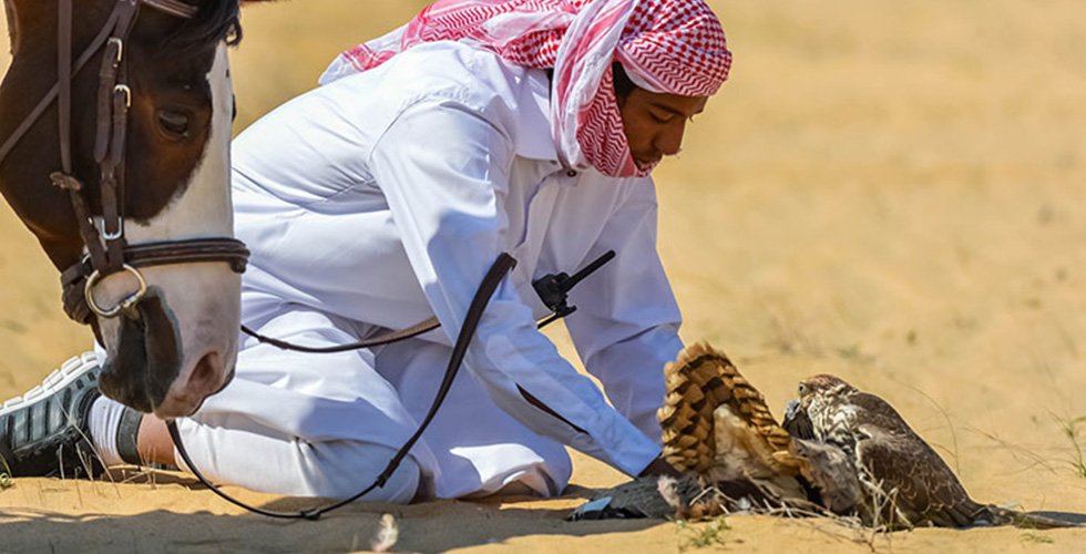 من يصطاد أكثر في بطولة القلايل 