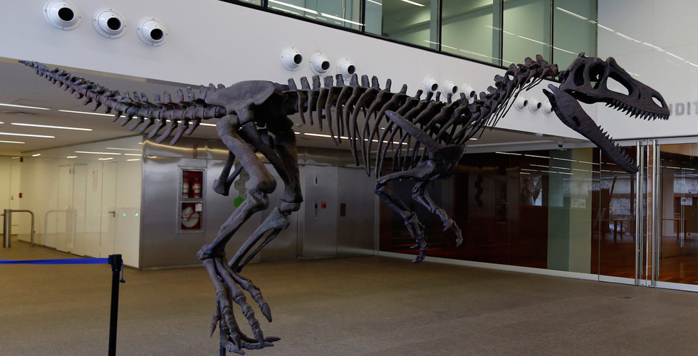 اكتشاف ديناصور مفترس في الارجنتين