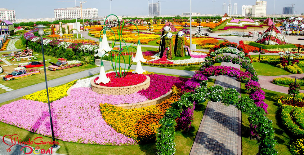 حديقة دبي تزهر فرحاً قريباً