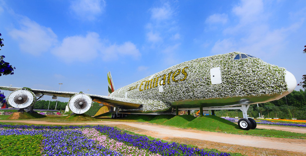 طائرة الإمارات من الأزهار