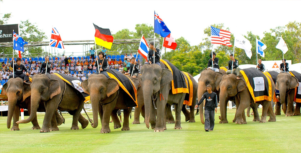 أنانترا: بولو الفيلة في بانكوك