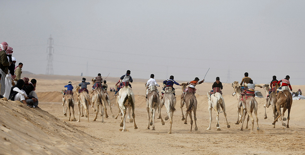 سباق الهجن يجذب الاوروبيين الى سيناء 