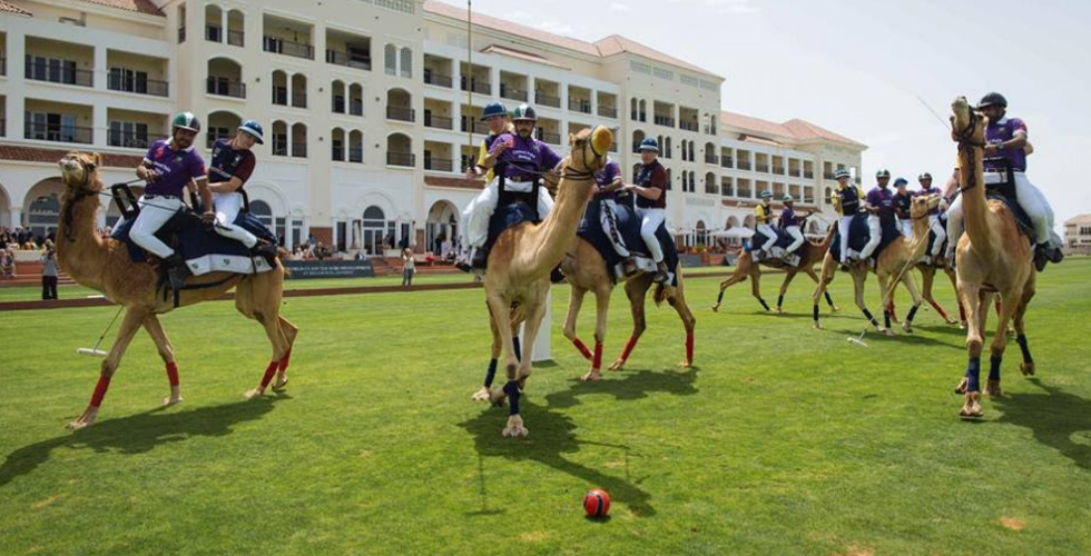 من فاز في يوم البولو البريطاني في دبي؟