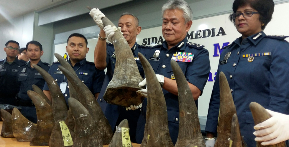 ماليزيا تحبط تهريب قرون وحيد القرن 