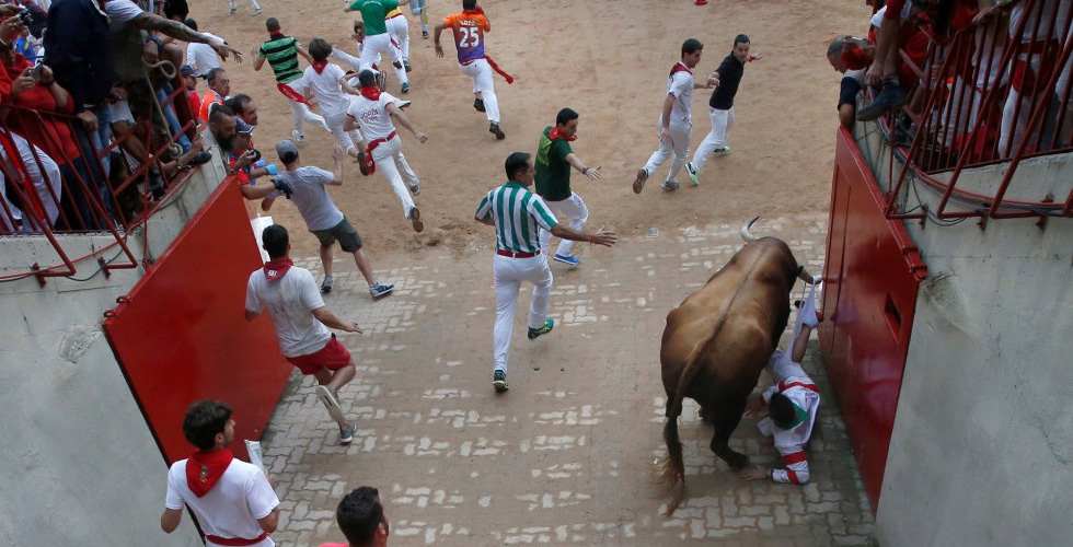 صخبٌ وإصابات في مطاردة الثيران الاسبانية