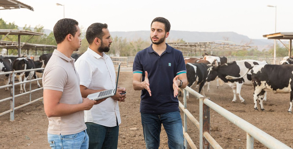 أهمّ الجوائز لشركات KAUST  النّاشئة