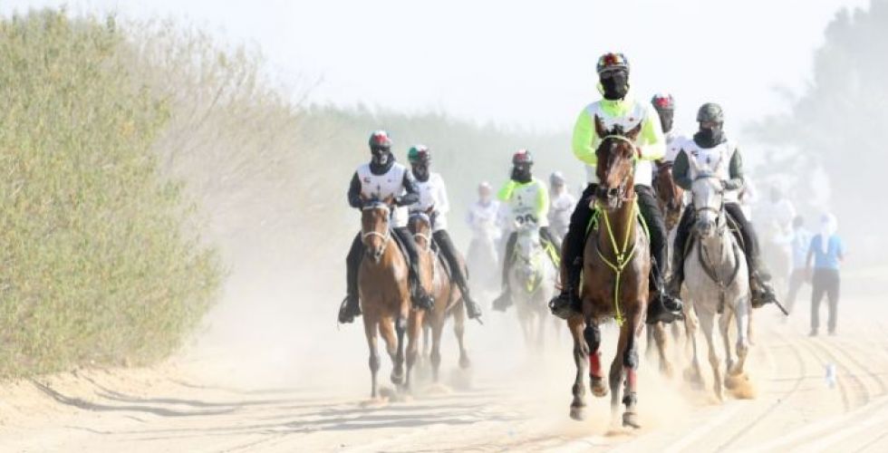 كأس محمد بن راشد للقدرة