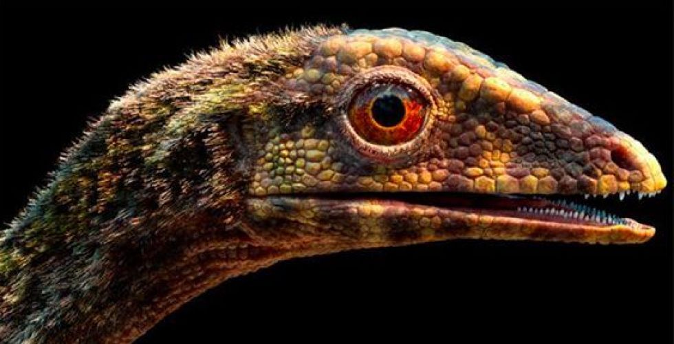 التيروصورات تطير في وقت تزحف الدينوصورات