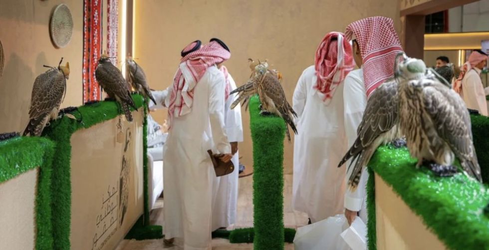 المزاد الدولي لمزارع إنتاج الصقور