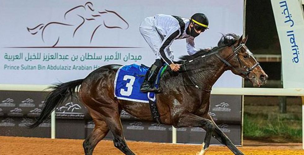 الخالدية نجمة مهرجان الخيل العربي