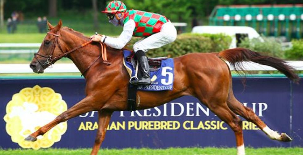  أجندة سباقات  كأس رئيس الامارات للخيول العربية الأصيلة