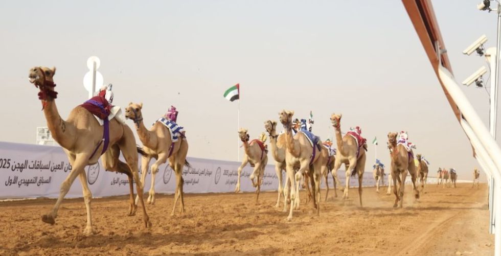 انطلاقة قوية لمنافسات مهرجان العين لسباقات الهجن