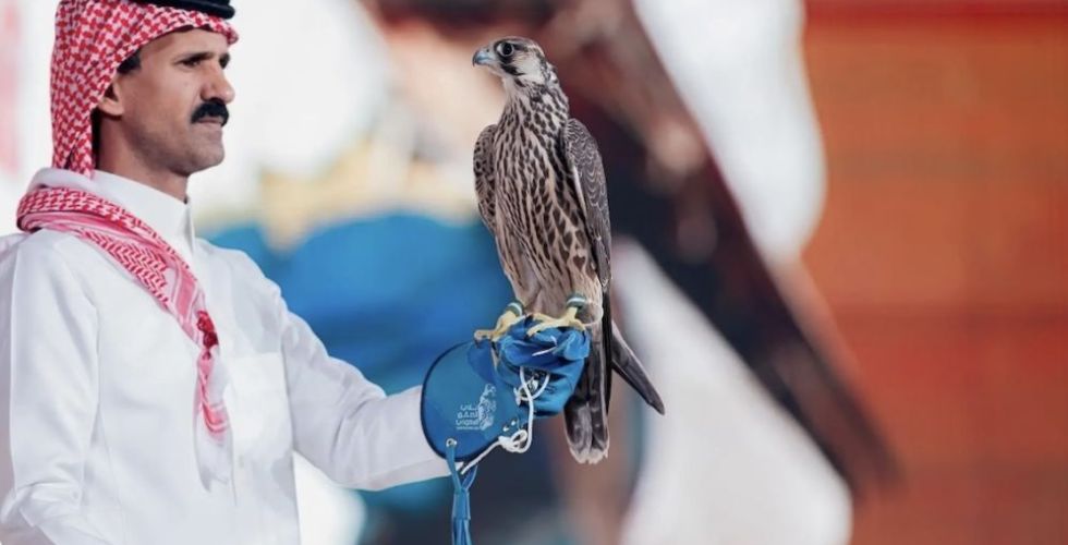 الصقور في مزاد