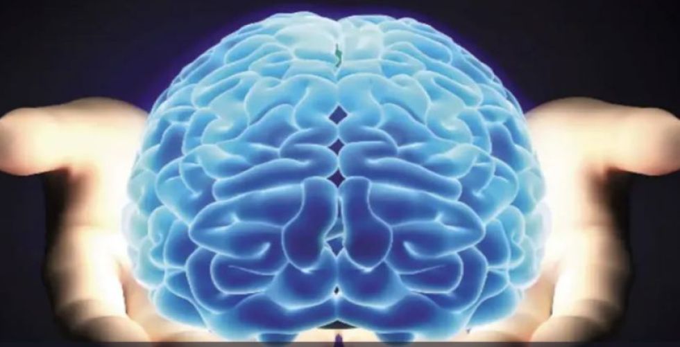 اكتشافاتٌ جديدة في الدماغ