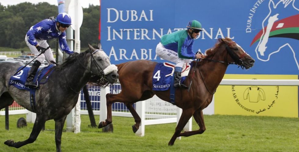 نجاحٌ كبيرٌ لسباق دبي الدولي للخيول العربية الأصيلة