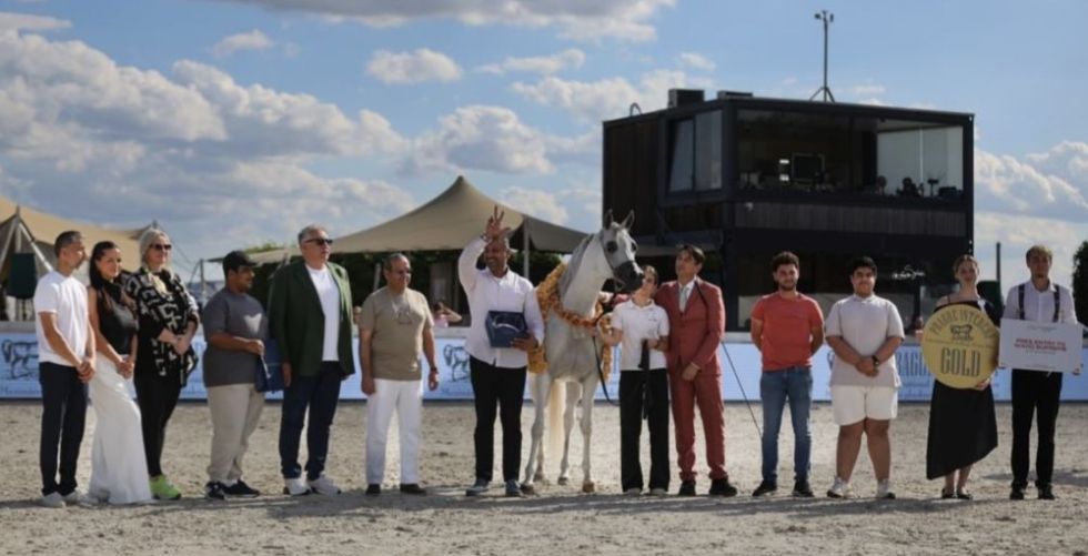 خيول مربطي دبي والبداير تتألق في بطولة جمال الخيل العربية