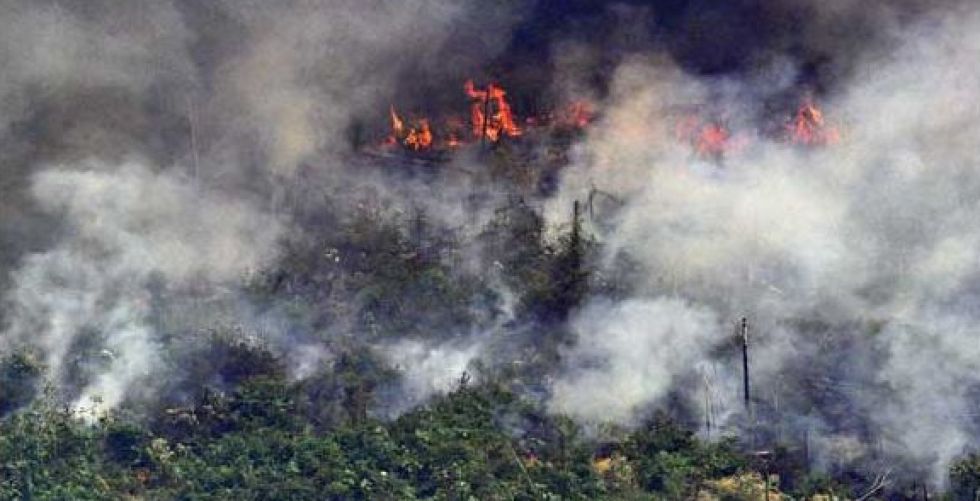 حرائق غابات الأمازون تهدّد علاقات البرازيل بالعالم