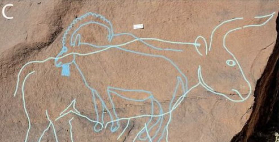 نقوش مائية في الصحراء العربية