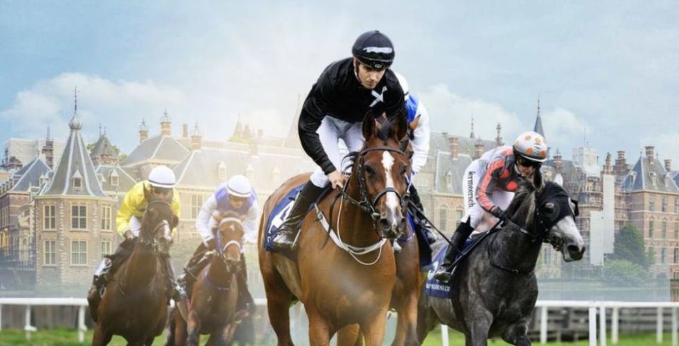 سباق الخيول العربية في هولندا برعاية إماراتية