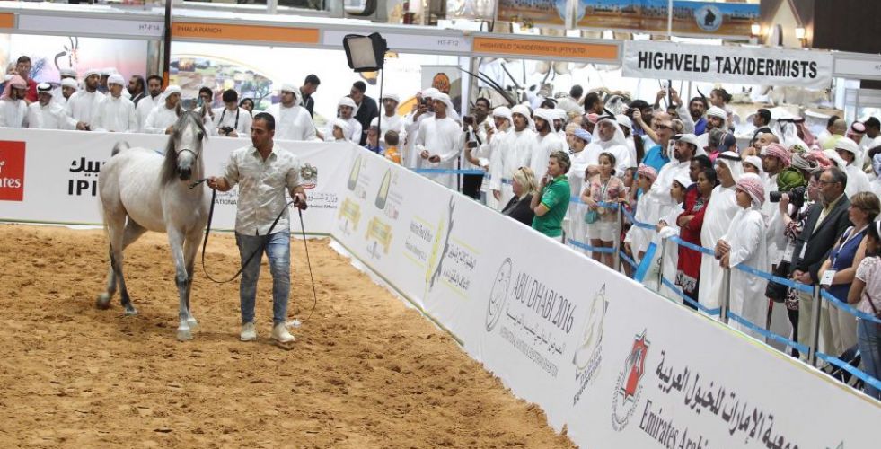 معرض أبوظبي الدولي للصيد والفروسية 2018