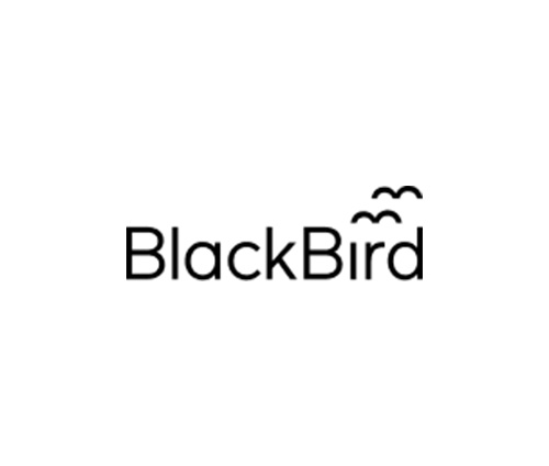 BlackBird  فردت أجنحتها برأس مالٍ جديد