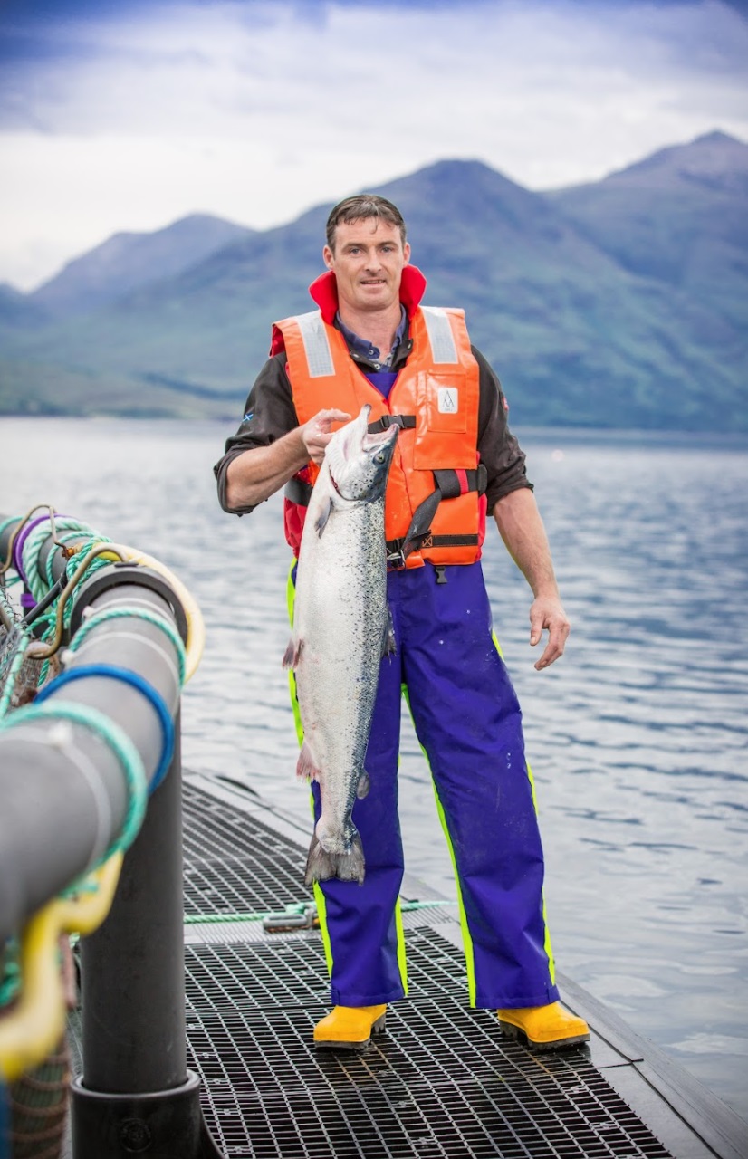 seafood from scotland