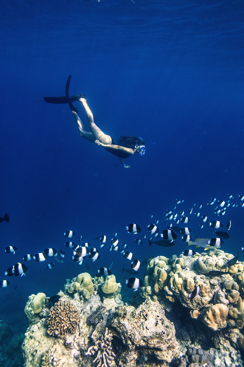 baros maldives