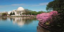 عطلة الربيع في واشنطن 