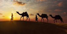 الامارات:إطلاقُ حملة حماية الصحراء
