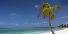 جزيرة خليج جومبي مثاليّة للحرّيّة والهدوء