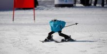 الروبوتات تتزلّج أيضا في الاولمبياد الشتوي