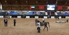 كأس الإمارات العالمي لجمال الخيل العربية بالمغرب