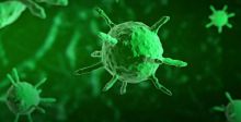فيروس كورونا العابر للحدود:معلومات علمية وتاريخية ومقارنات