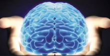 اكتشافاتٌ جديدة في الدماغ