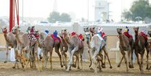 جوائز قيّمة تنتظرك في مهرجان سلطان بن زايد