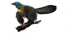ديناصور بشكل طائر ولا يطير
